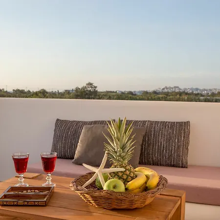 Naxian Lounge Villa Naxos City