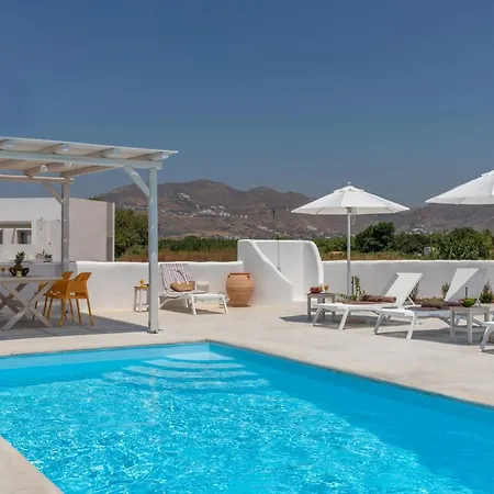 Naxian Lounge וילה Naxos City