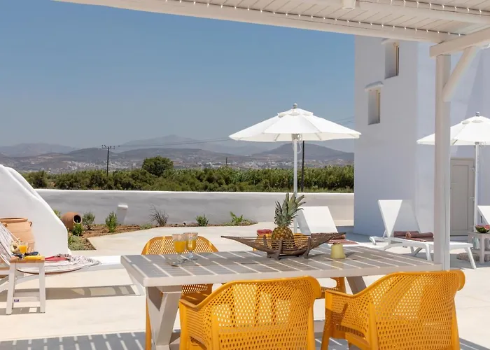 Naxian Lounge Βίλα *